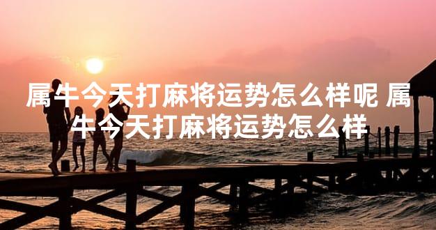 属牛今天打麻将运势怎么样呢 属牛今天打麻将运势怎么样